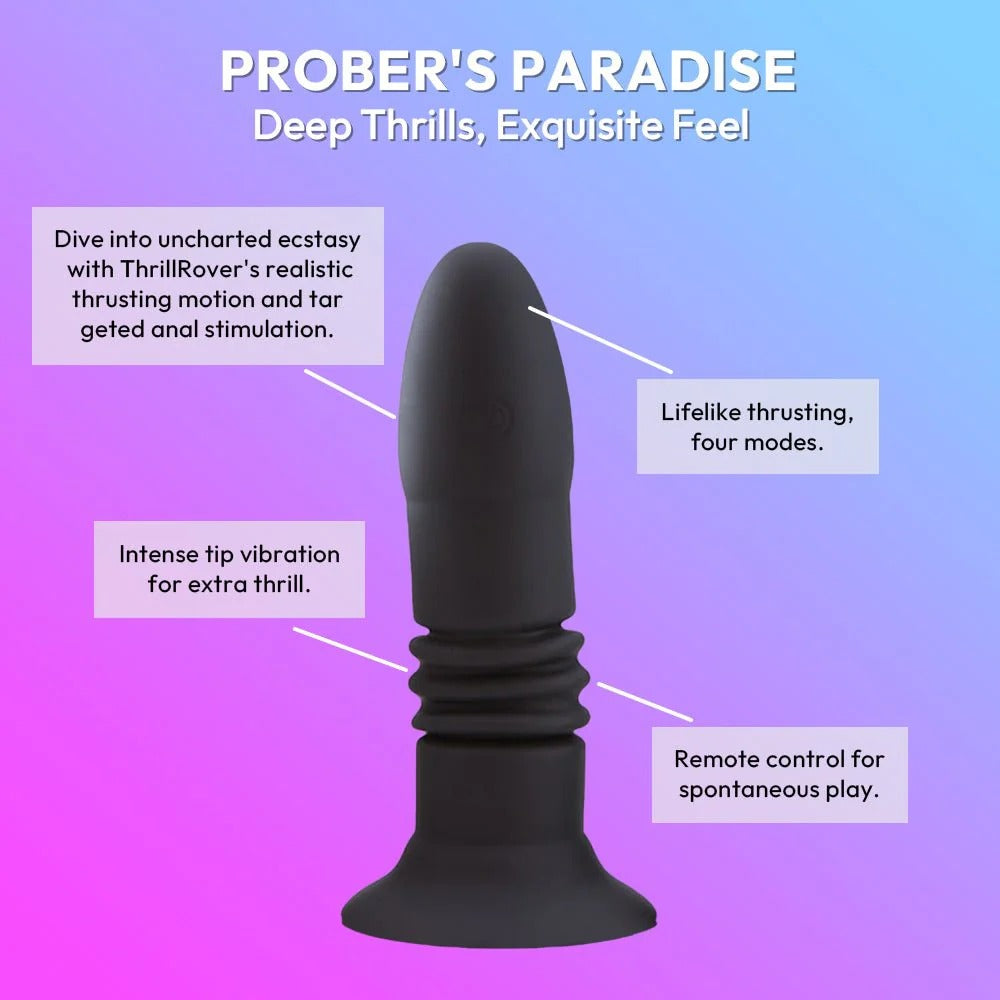 PROBER`S PARADISE