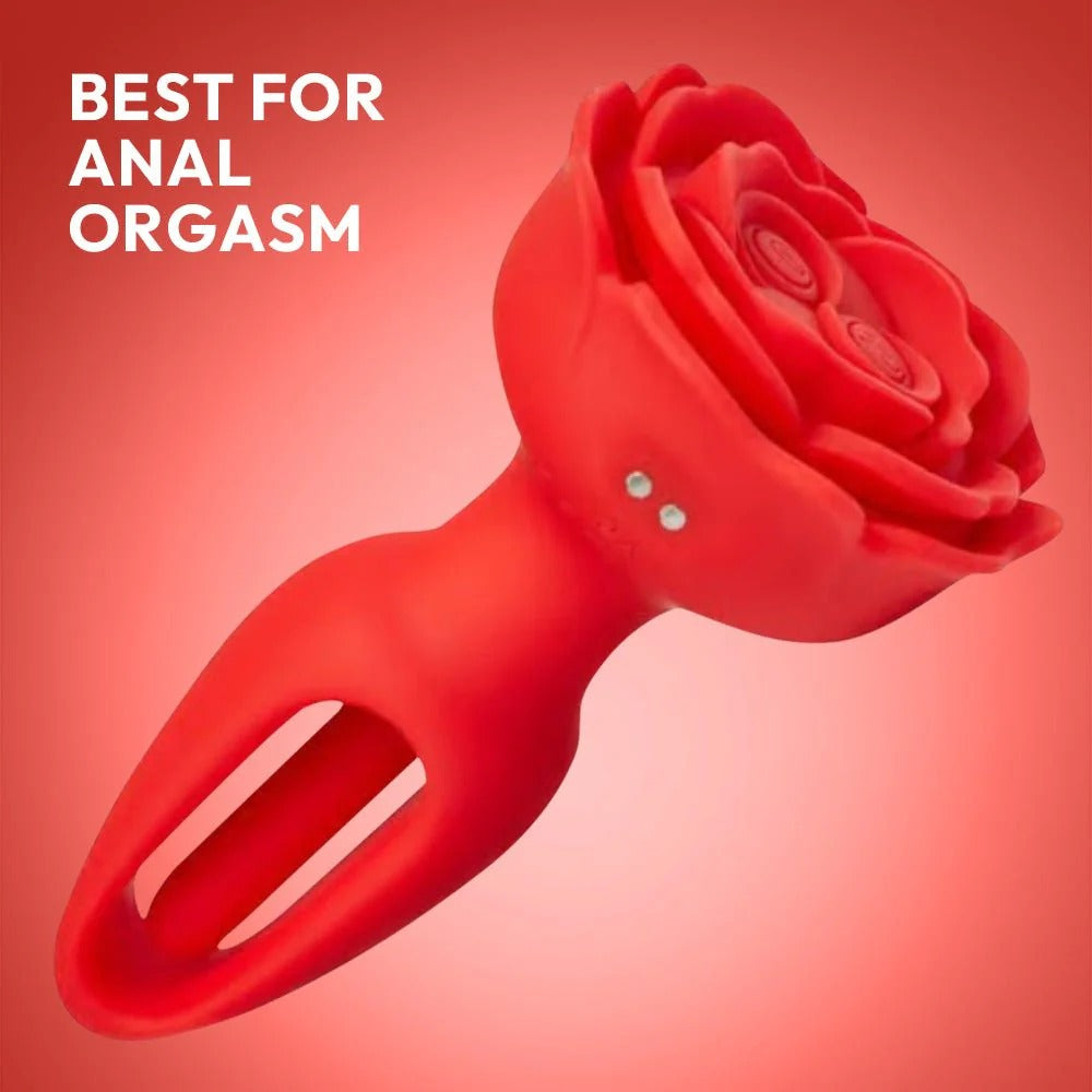 ROSEBUD RAPTURE TEASER